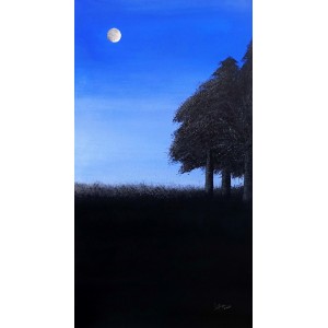 Irtiza Kazmi, Twilight, 16 x 30 inches, Acrylics on Canvas, Landscape Painting, AC-IRTK-018